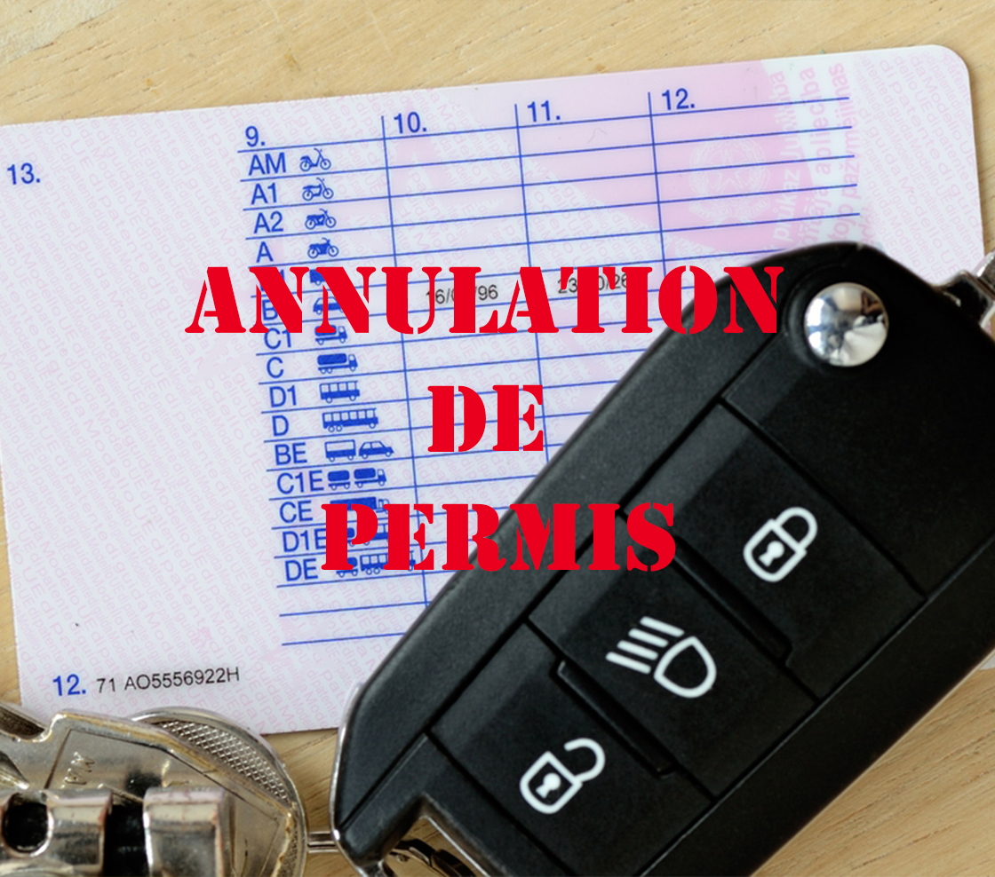 ANNULATION DE PERMIS